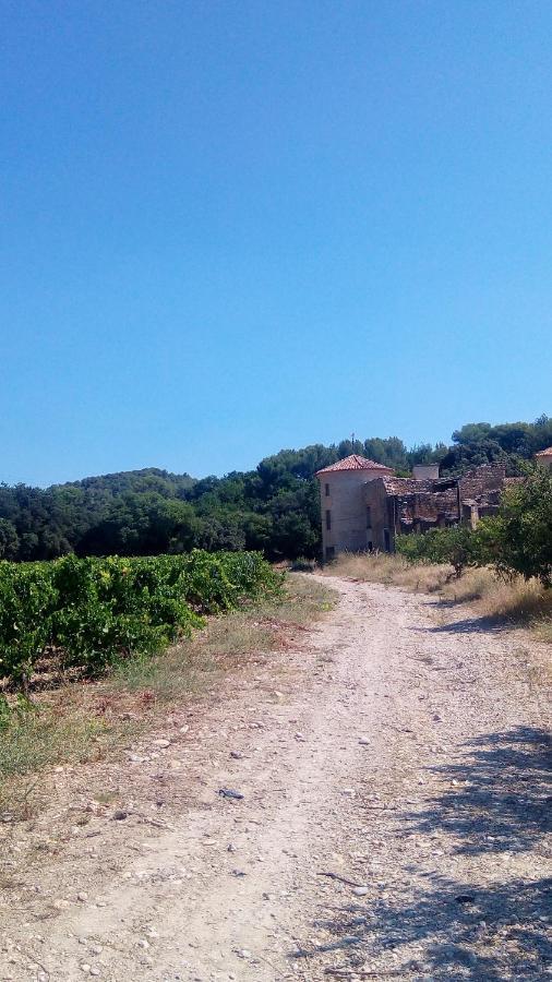Les Cigales Bed & Breakfast Villelaure Exterior foto