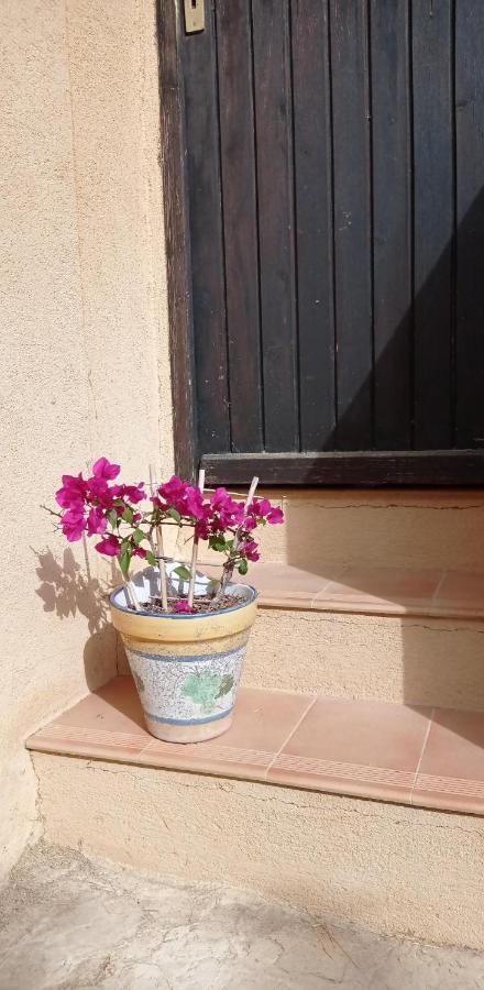 Les Cigales Bed & Breakfast Villelaure Exterior foto